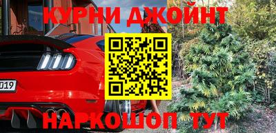 молекула духа Шебекино