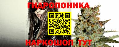 тгк Шелехов